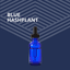 Tincture Thc Blue Hashplant 30ml Tincture