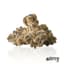 Facetz 7 Gram Flower