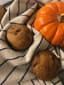 Pumpkin 25 Mg Edibles Baked Goods Other Baked Goods 5 Pack