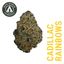 Cadillac Rainbow 3.50 Gram Flower