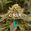 G Ride 14 Gram Flower