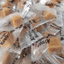 Coffee 100 Mg Edibles Edibles (unspecified) Edibles (unspecified) 10 Pack