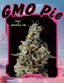 Gmo Pie 28 Gram Flower