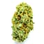 Cherrylicious 3.50 Gram Flower Buds