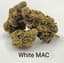 White Mac 3.50 Gram Flower