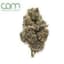 Gelatti 3.50 Gram Flower