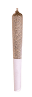 Sensi Star 0.50 Gram Pre Rolls Single 1 Pack