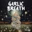 Garlic Breath 3.50 Gram Flower
