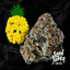 Pineapple Fruz 3.50 Gram Flower