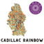 Cadillac Rainbow Flower Gram 3.50